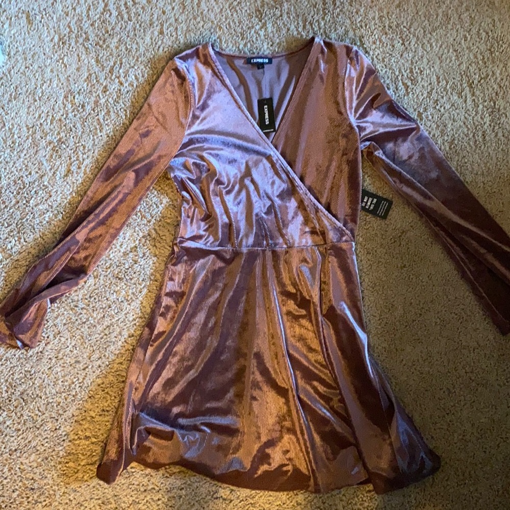 Small Express velvet dress